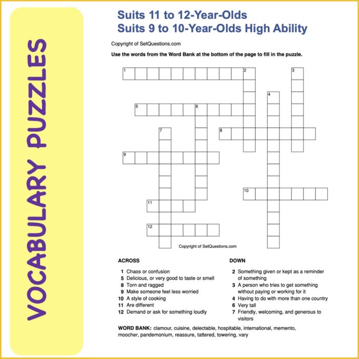 Vocabulary Puzzles